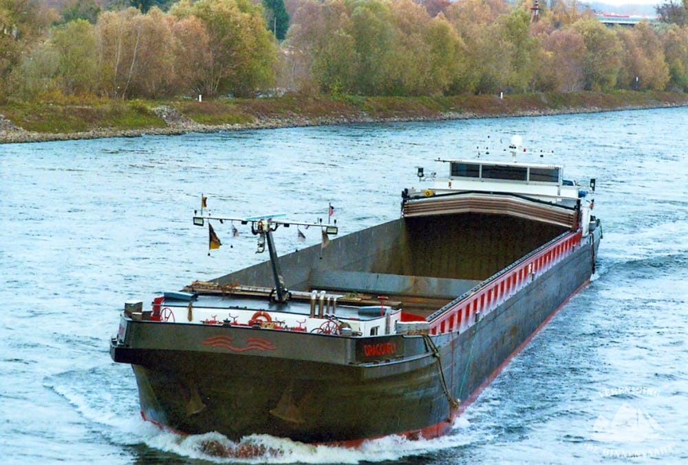 Dragon Fly — thumbnail 4